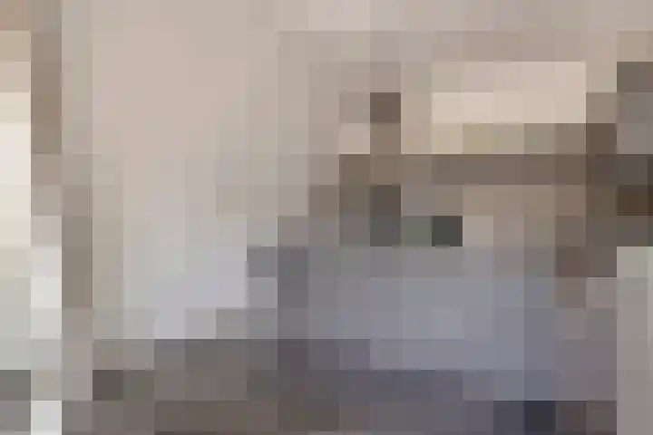 Blikakker 24 Deventer thumbnail 15