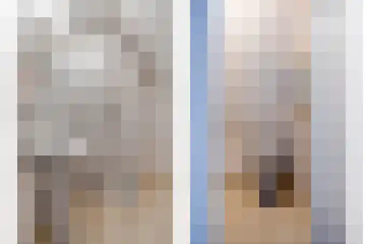 Blikakker 24 Deventer thumbnail 17