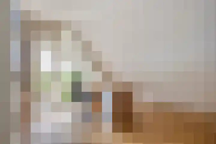 Blikakker 24 Deventer thumbnail 18