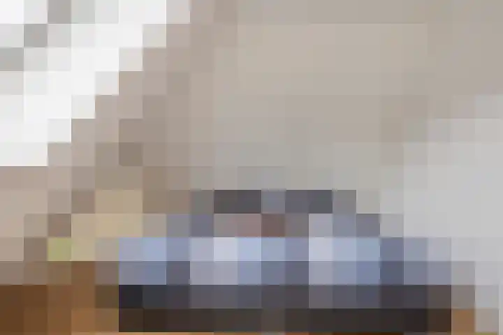 Blikakker 24 Deventer thumbnail 22