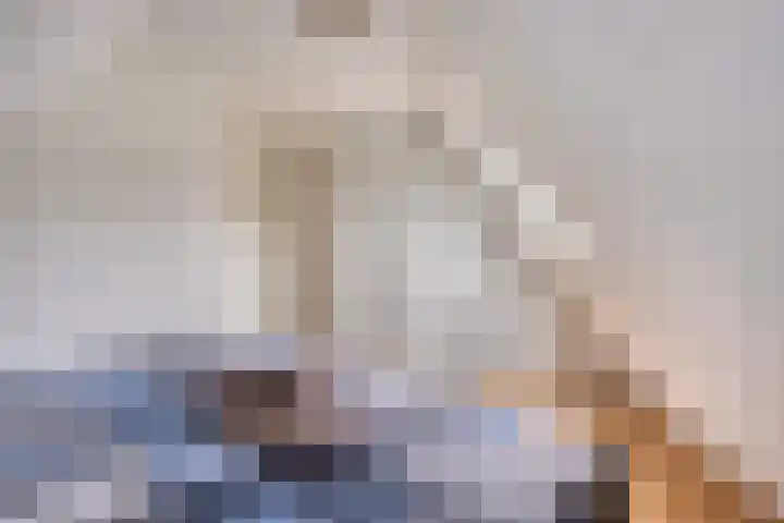 Blikakker 24 Deventer thumbnail 23