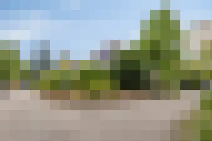 Blikakker 24 Deventer thumbnail 25