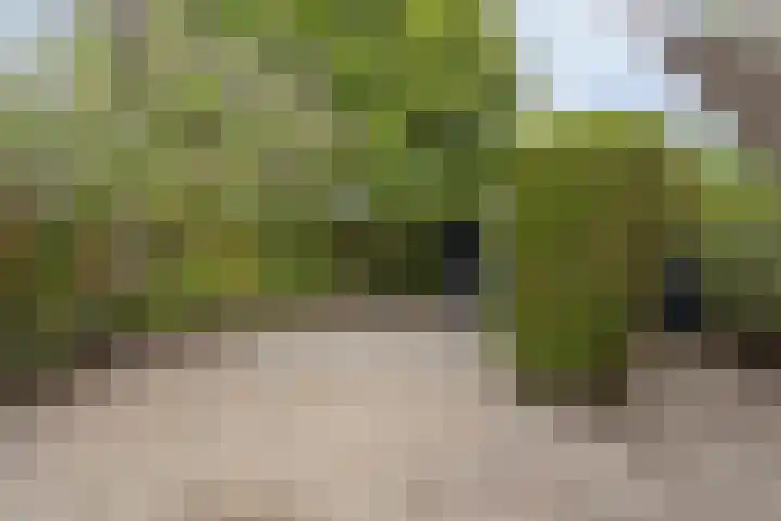 Blikakker 24 Deventer thumbnail 27