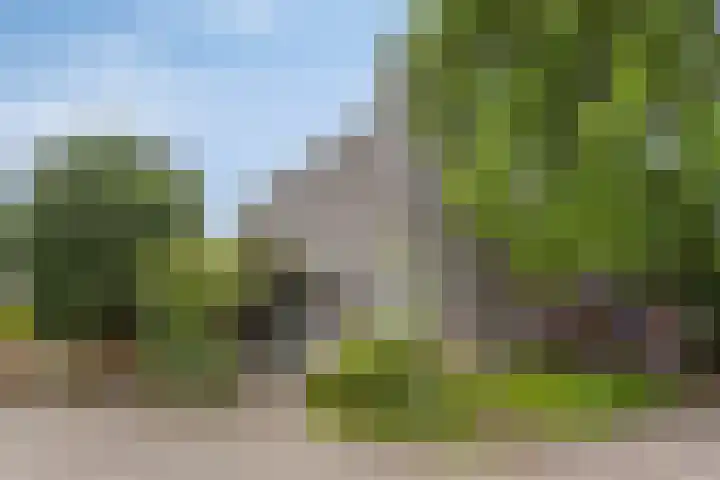 Blikakker 24 Deventer thumbnail 28