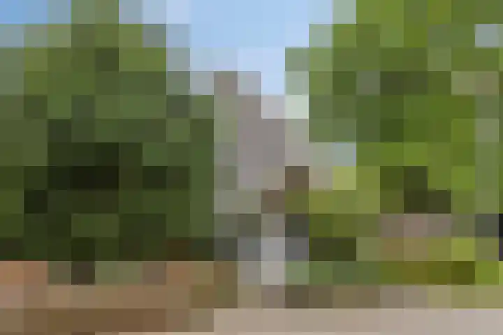 Blikakker 24 Deventer thumbnail 34