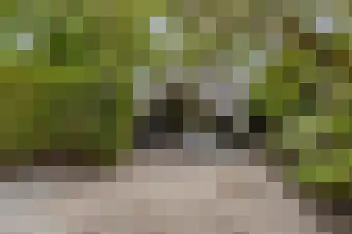 Blikakker 24 Deventer thumbnail 5