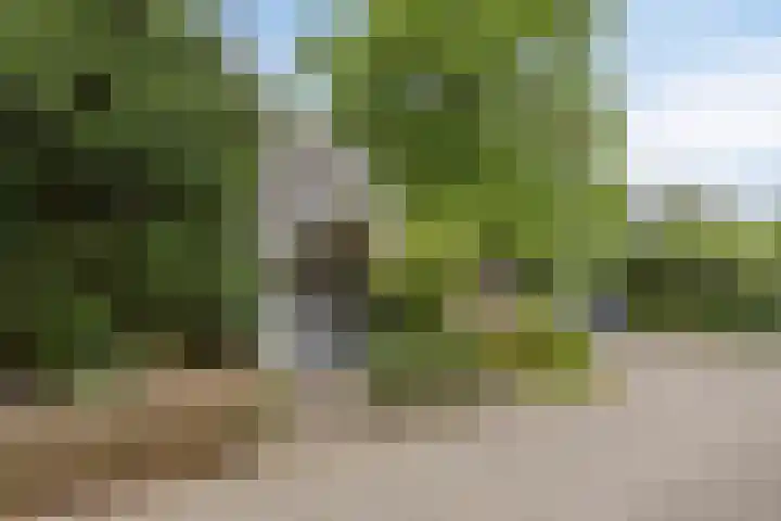 Blikakker 24 Deventer thumbnail 6