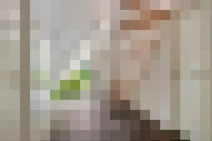 Blikakker 24 Deventer thumbnail 8