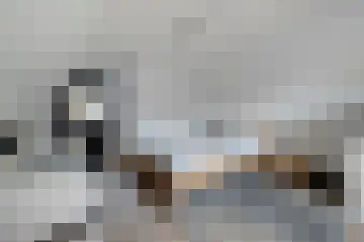 Blikbree 1 Assen thumbnail 30