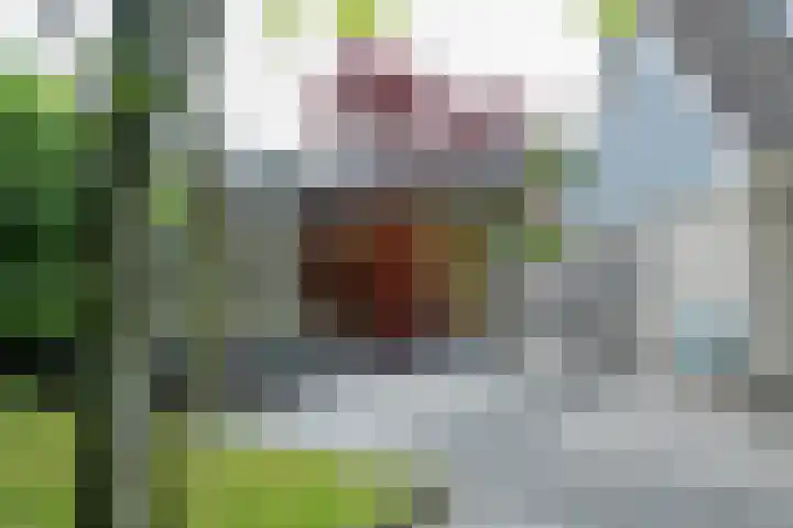 Blikbree 1 Assen thumbnail 50