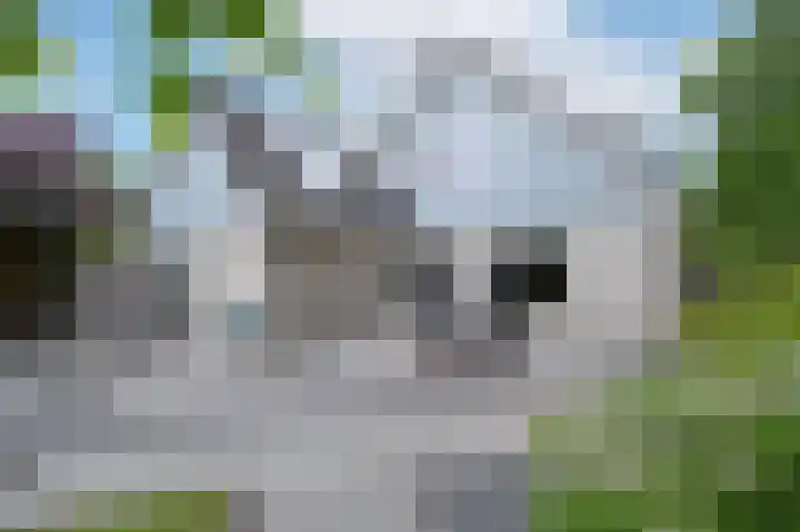 Blikbree 1 Assen thumbnail 57
