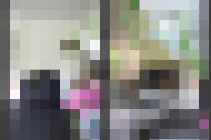 Blikbree 1 Assen thumbnail 8