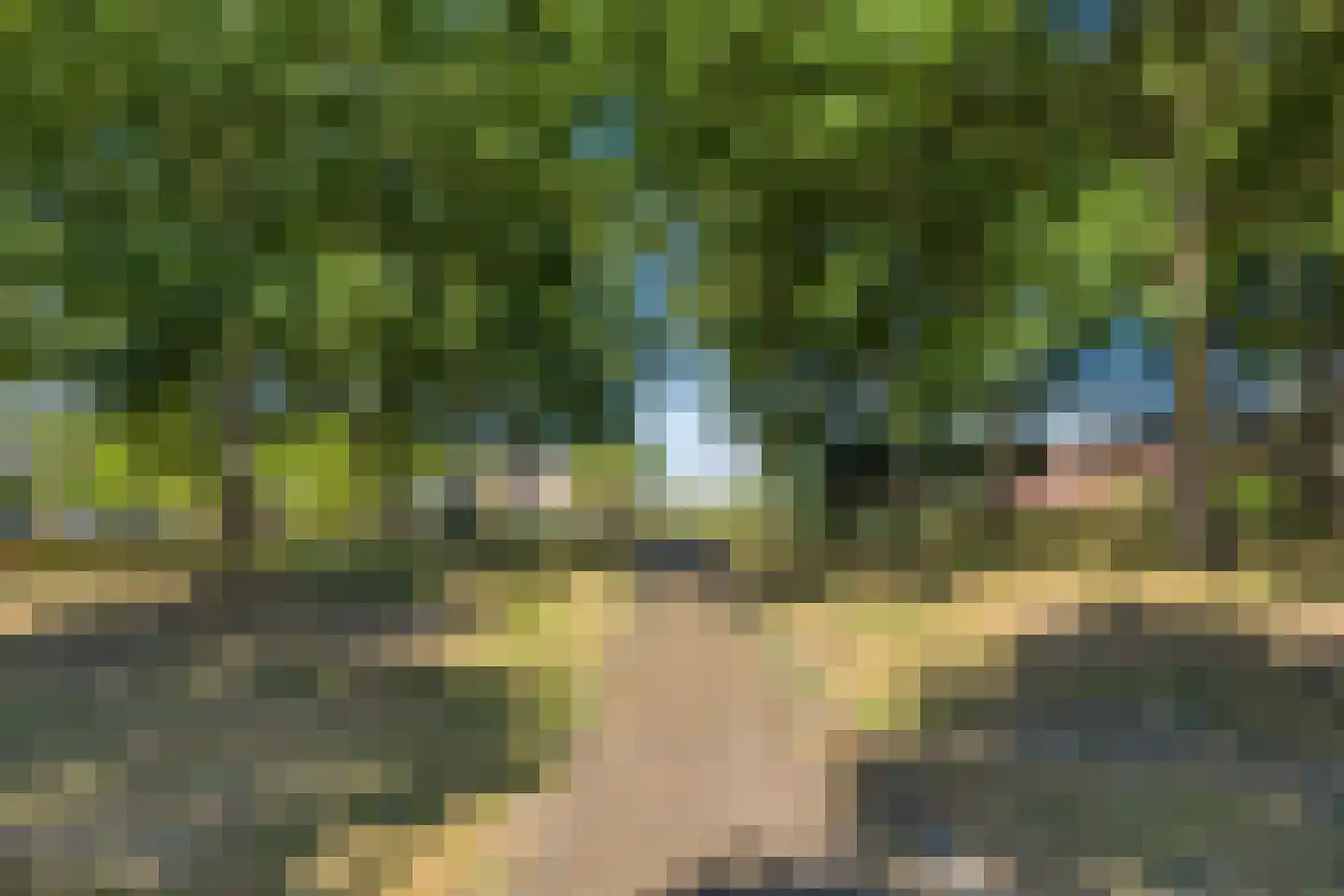 Blikhoek 19 's-Heerenhoek thumbnail 56