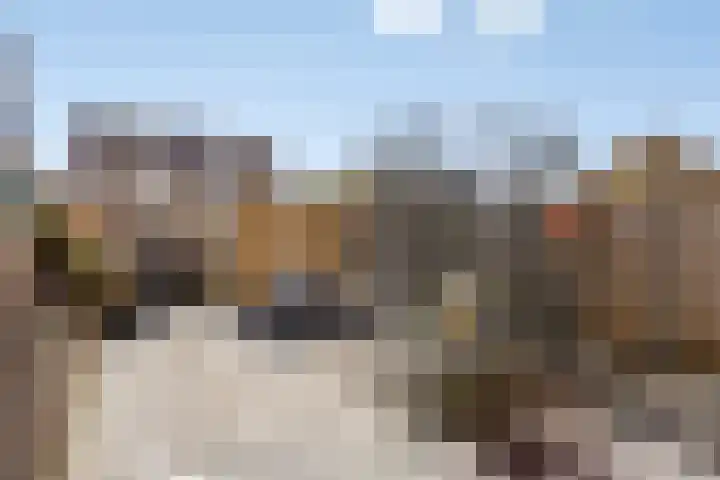 Blikhoek 42 's-Heerenhoek thumbnail 27