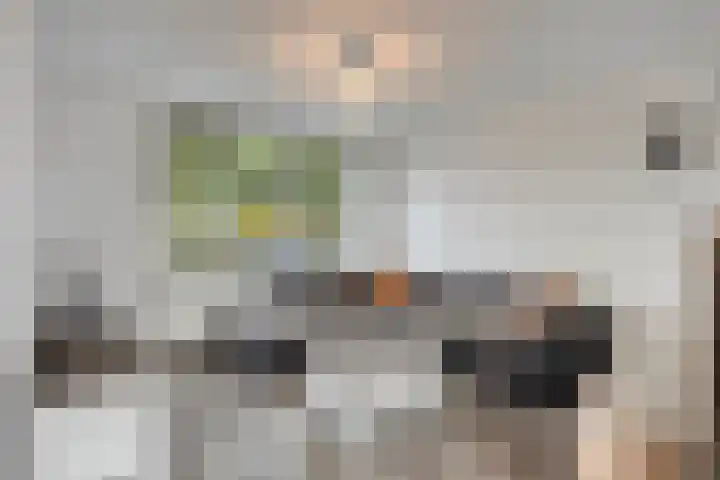 Blikhoek 42 's-Heerenhoek thumbnail 6