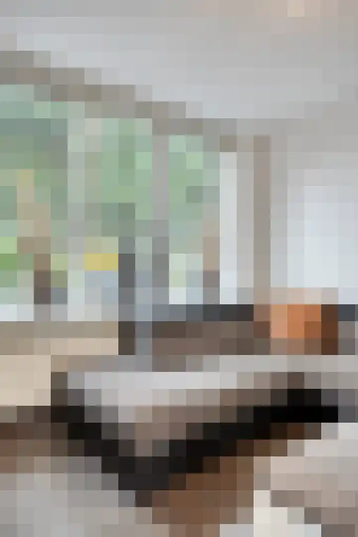 Blikhoek 42 's-Heerenhoek thumbnail 8