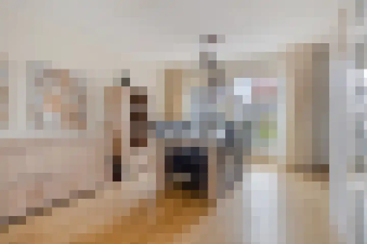 Blikhoek 74 's-Heerenhoek thumbnail 11