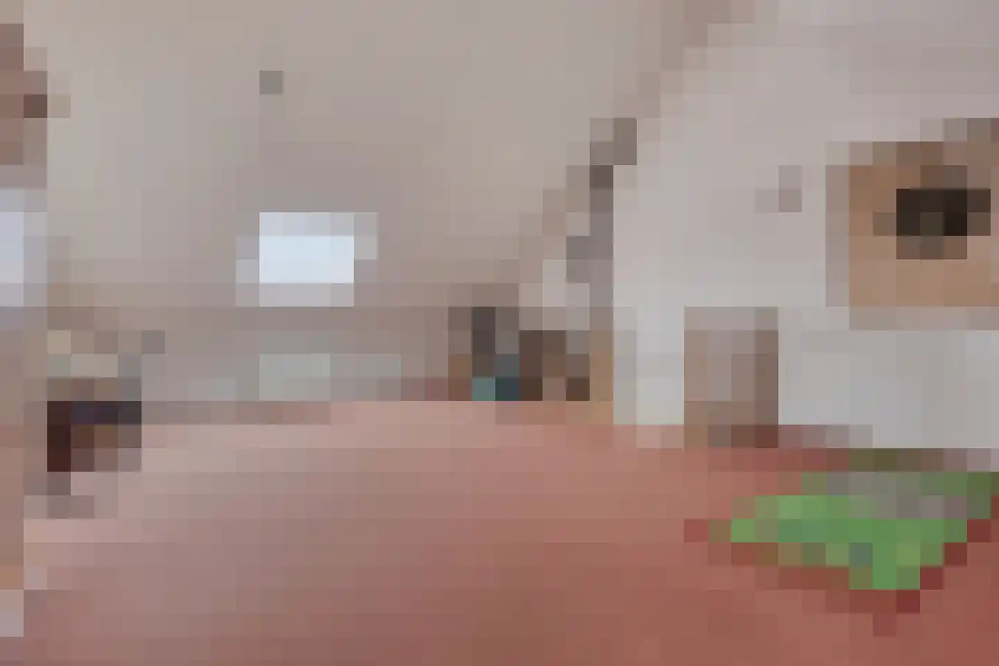Blikhoek 74 's-Heerenhoek thumbnail 27