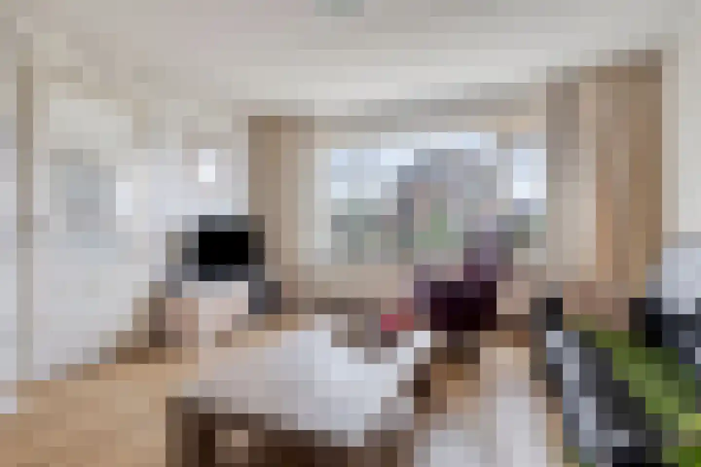 Blikhoek 74 's-Heerenhoek thumbnail 9