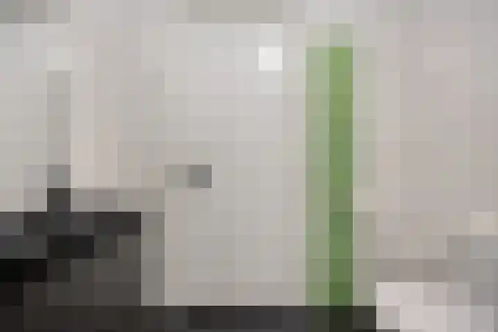 Blikhoek 82 's-Heerenhoek thumbnail 22