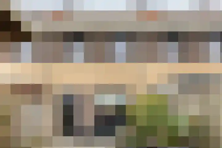 Blikhoek 82 's-Heerenhoek thumbnail 32