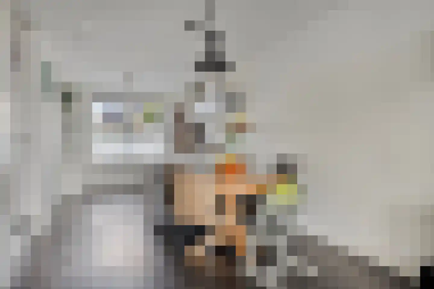 Blikhoek 84 's-Heerenhoek thumbnail 10