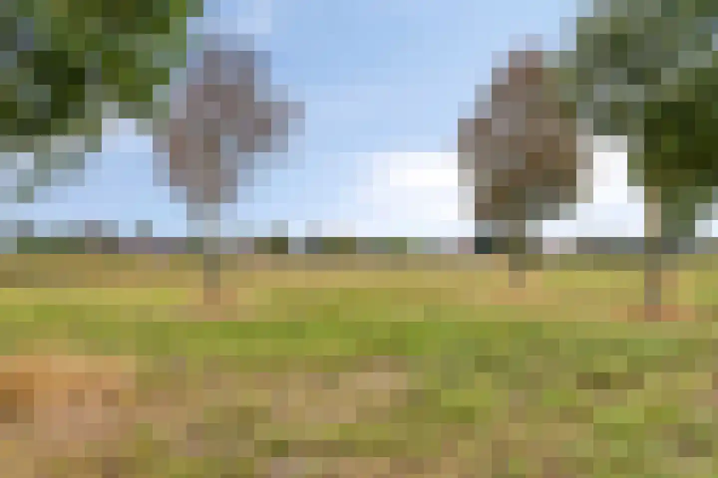 Blikhoek 84 's-Heerenhoek thumbnail 36