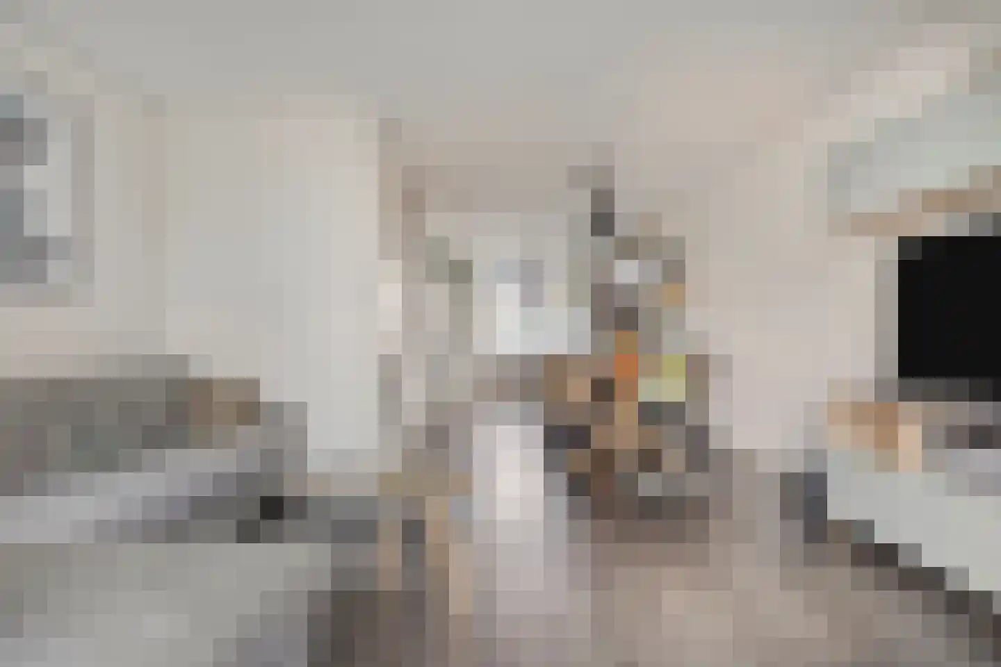 Blikhoek 84 's-Heerenhoek thumbnail 9
