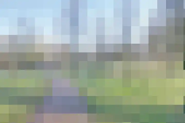 Blikkenburg 26 Amersfoort thumbnail 21