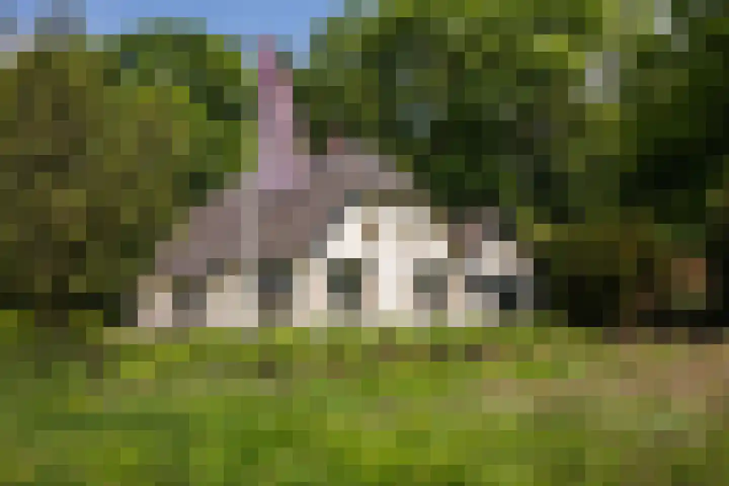 Blikkenweg 4 Twello thumbnail 11