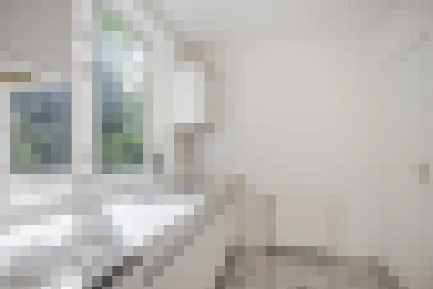 Blikkenweg 4 Twello thumbnail 30