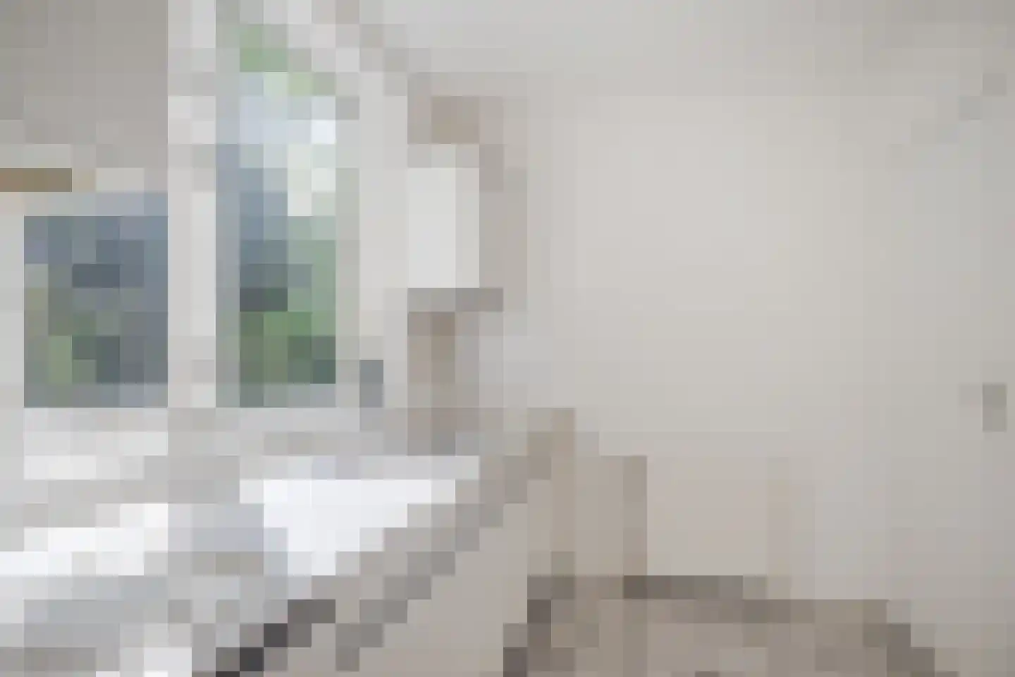 Blikkenweg 4 Twello thumbnail 30