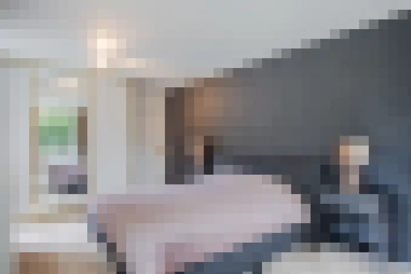 Blikkenweg 4 Twello thumbnail 32