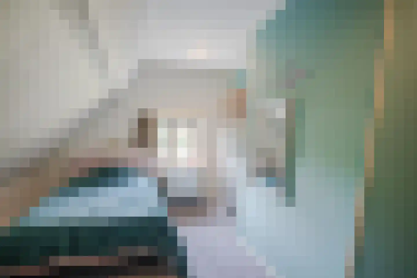 Blikkenweg 4 Twello thumbnail 40