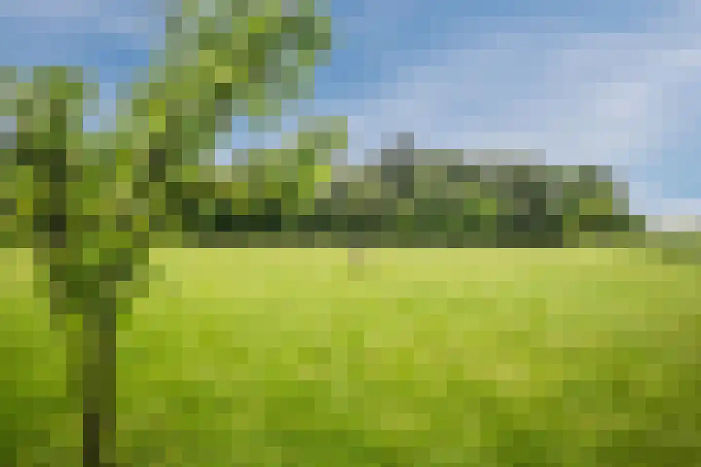 Blikkenweg 4 Twello thumbnail 66
