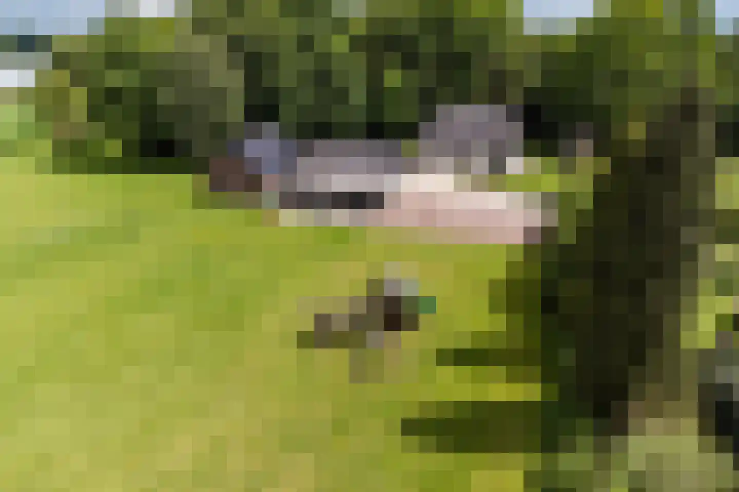 Blikkenweg 4 Twello thumbnail 69