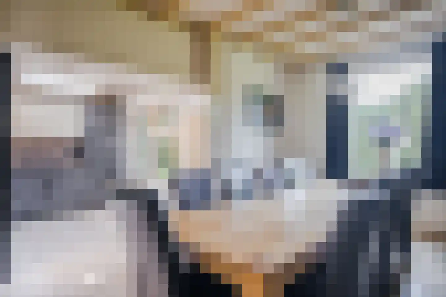 Blikkenweg 4 Twello thumbnail 7