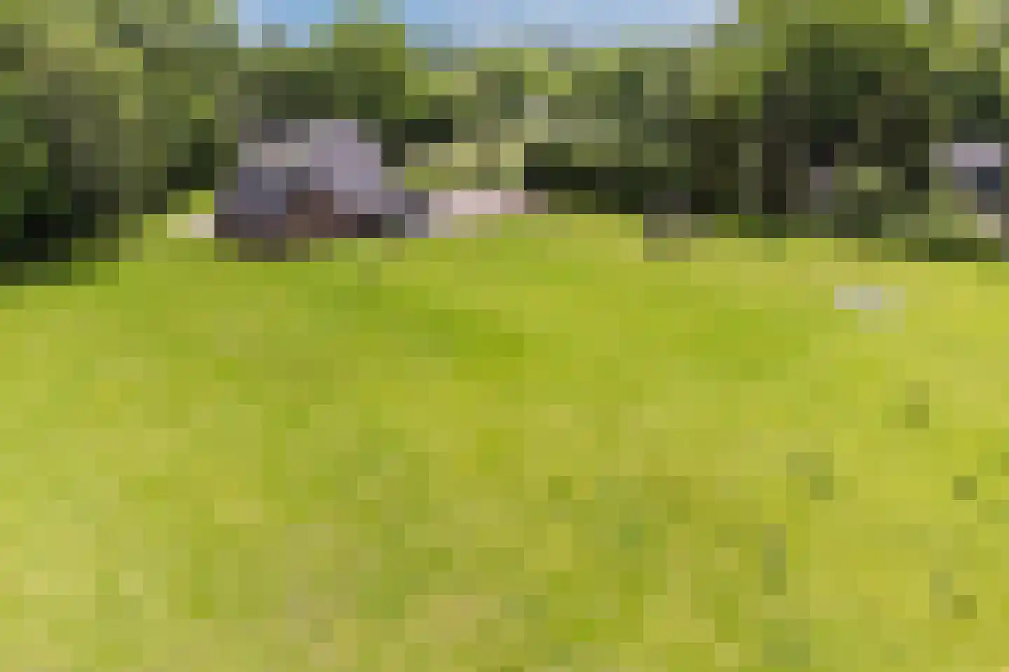 Blikkenweg 4 Twello thumbnail 70
