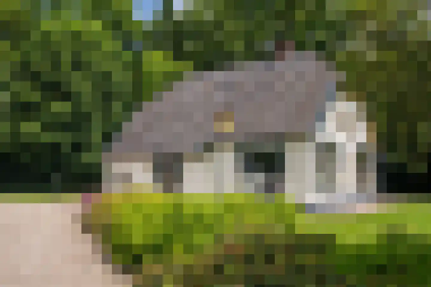 Blikkenweg 4 Twello thumbnail 71