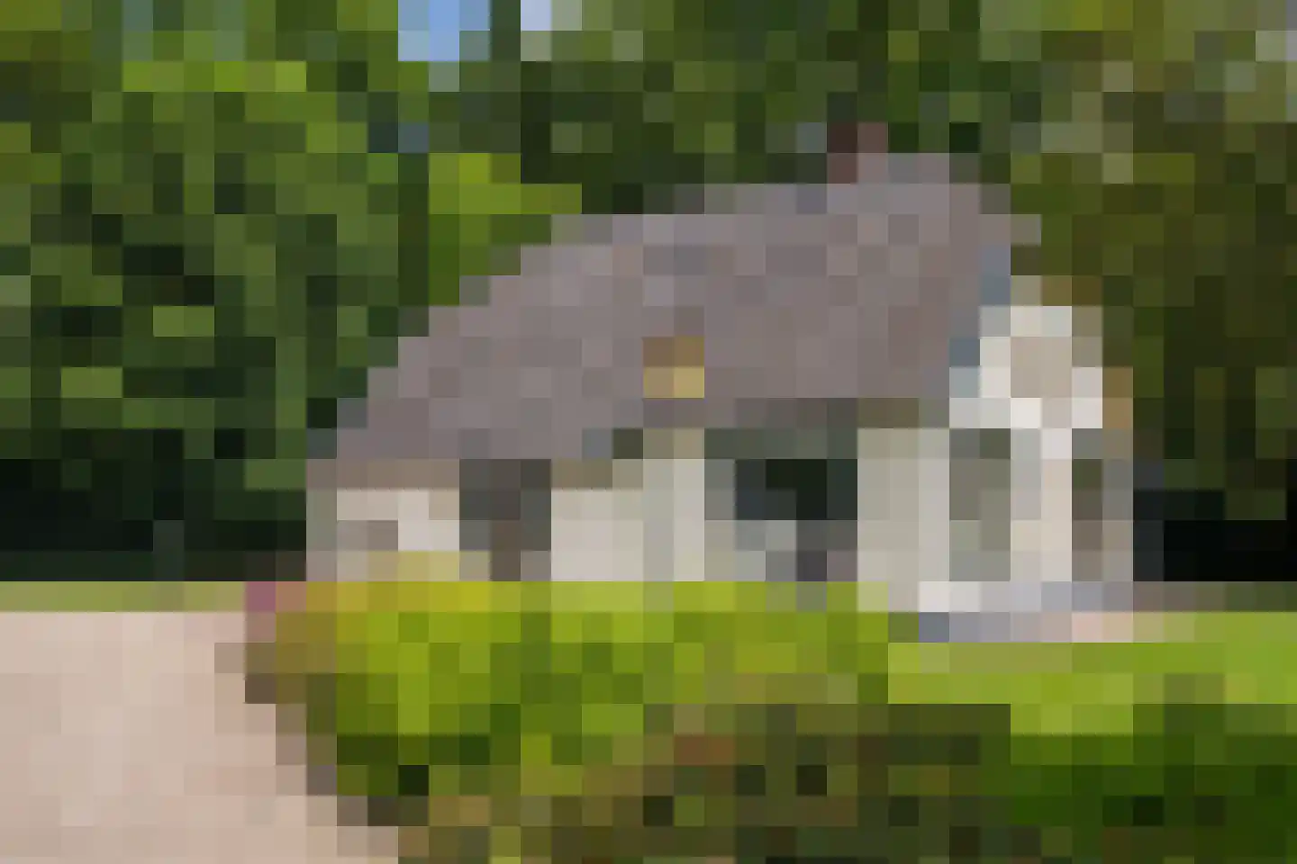 Blikkenweg 4 Twello thumbnail 71