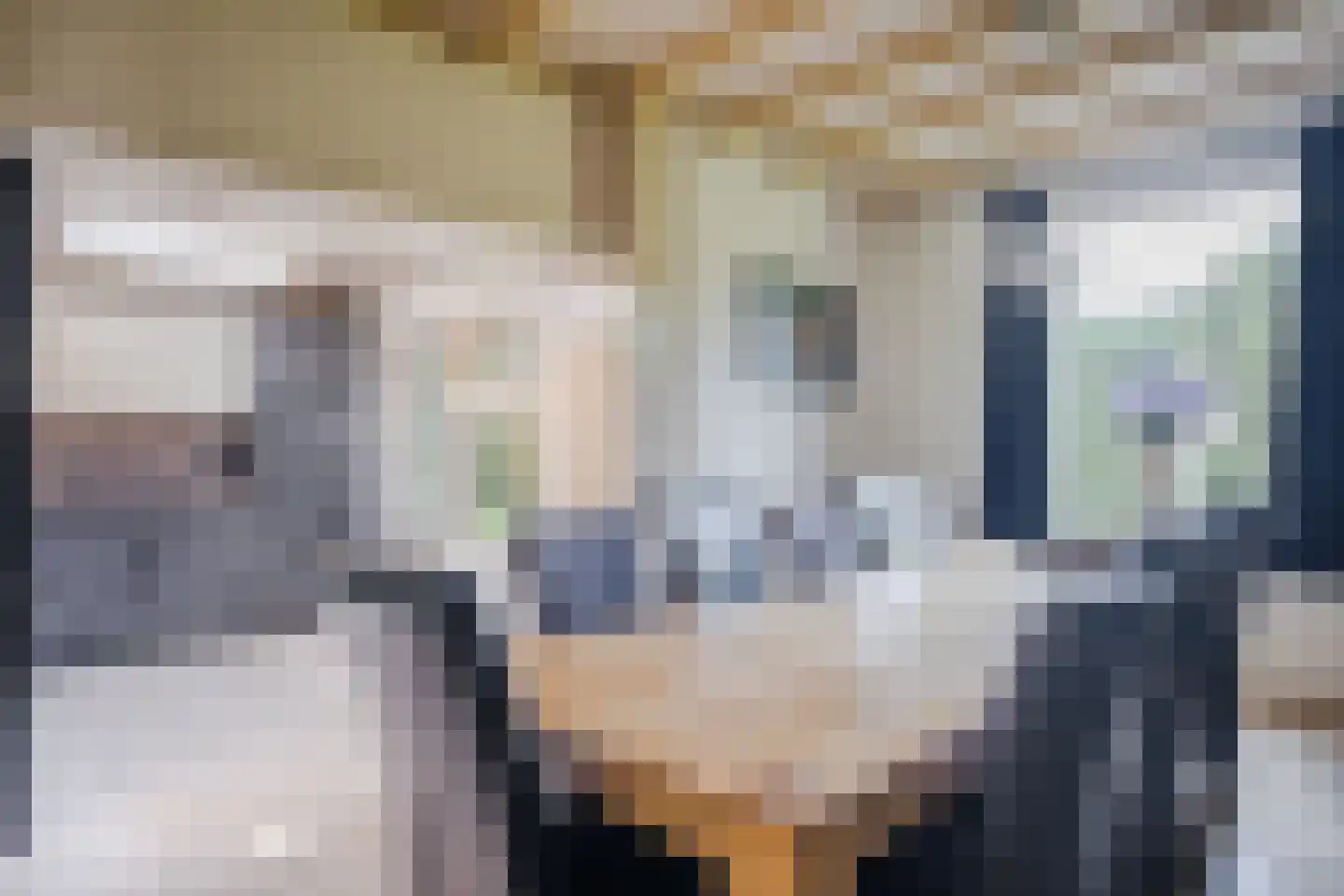 Blikkenweg 4 Twello thumbnail 8