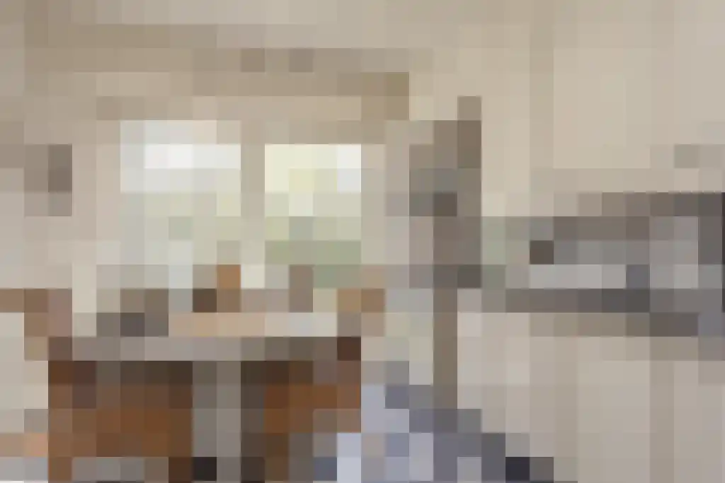 Blikkertweg 3 Holten thumbnail 14