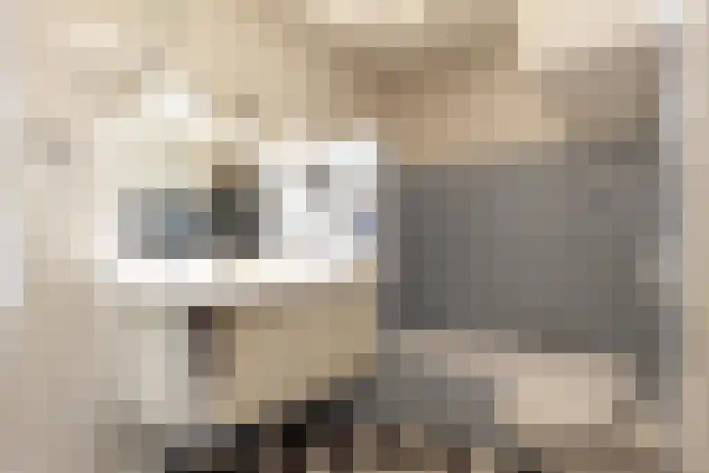 Blikkertweg 3 Holten thumbnail 18