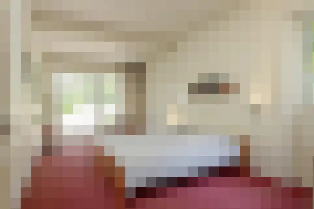 Blikkertweg 3 Holten thumbnail 19