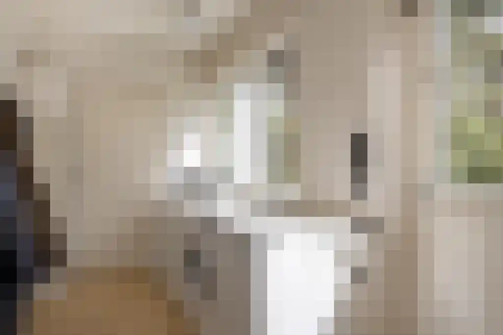 Blikkertweg 3 Holten thumbnail 21