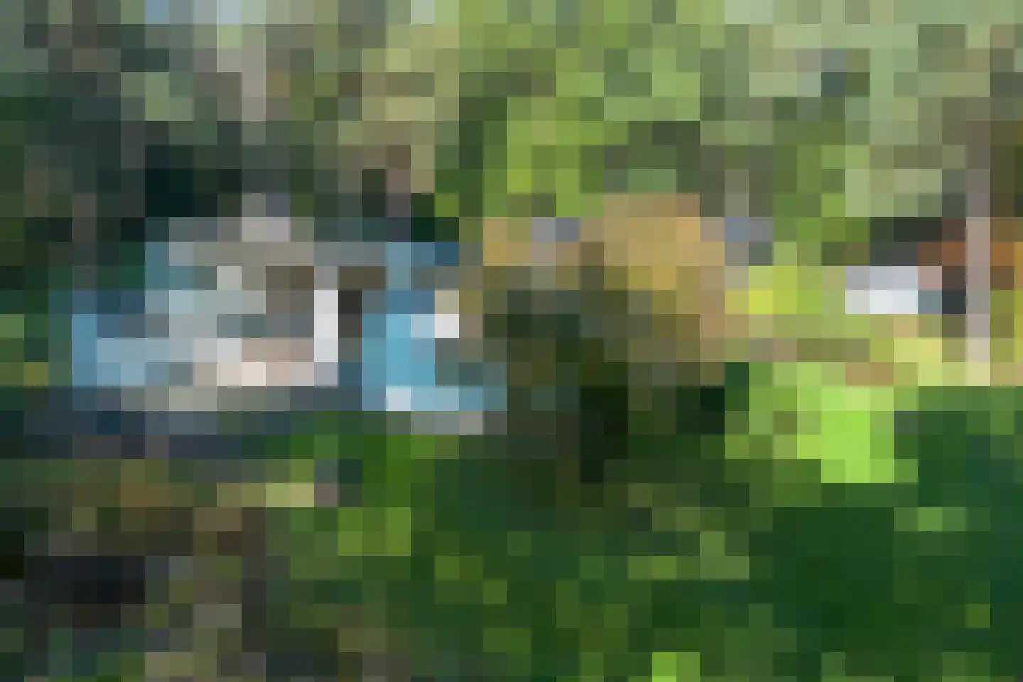 Blikkertweg 3 Holten thumbnail 22
