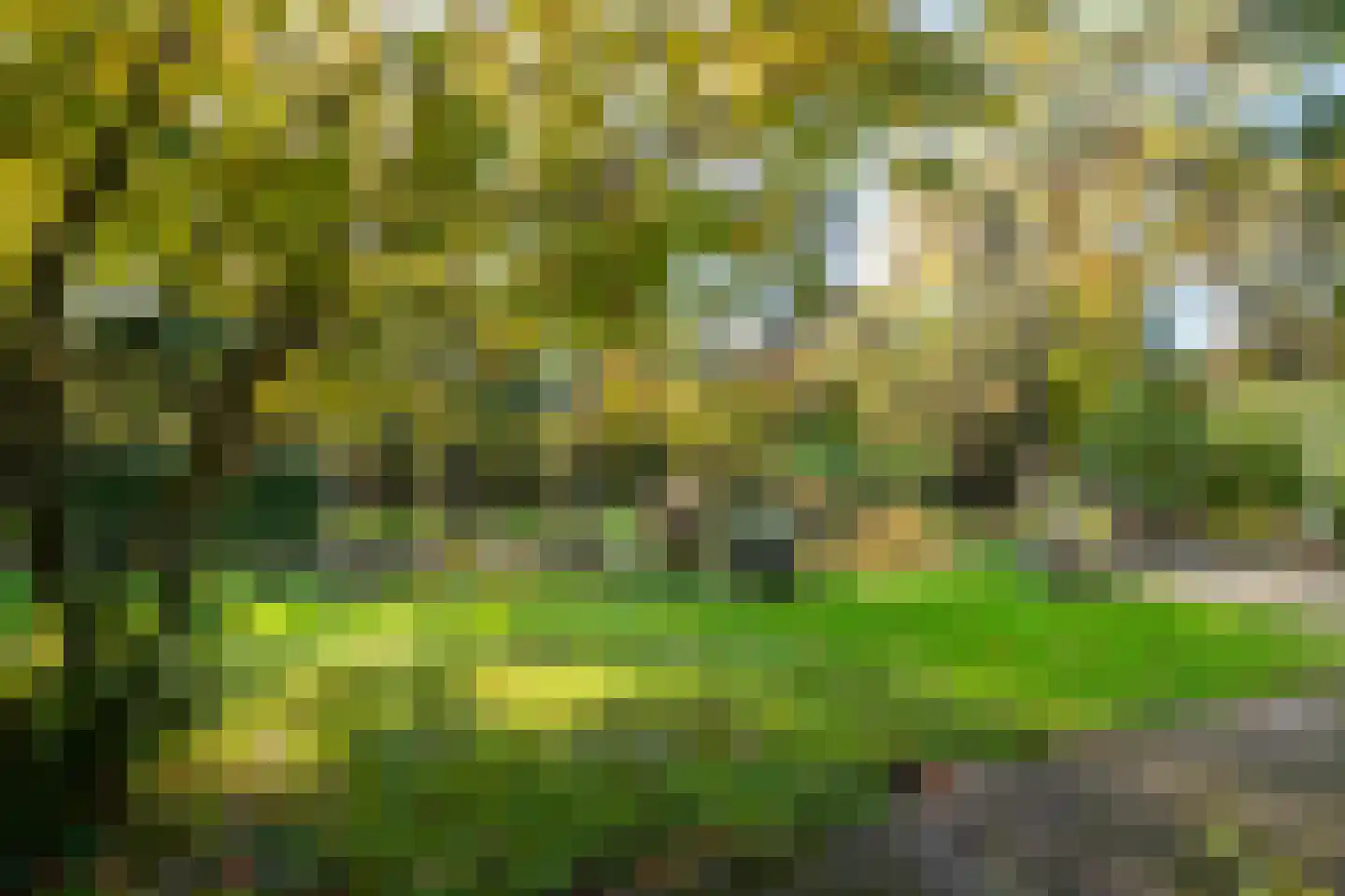 Blikkertweg 3 Holten thumbnail 25