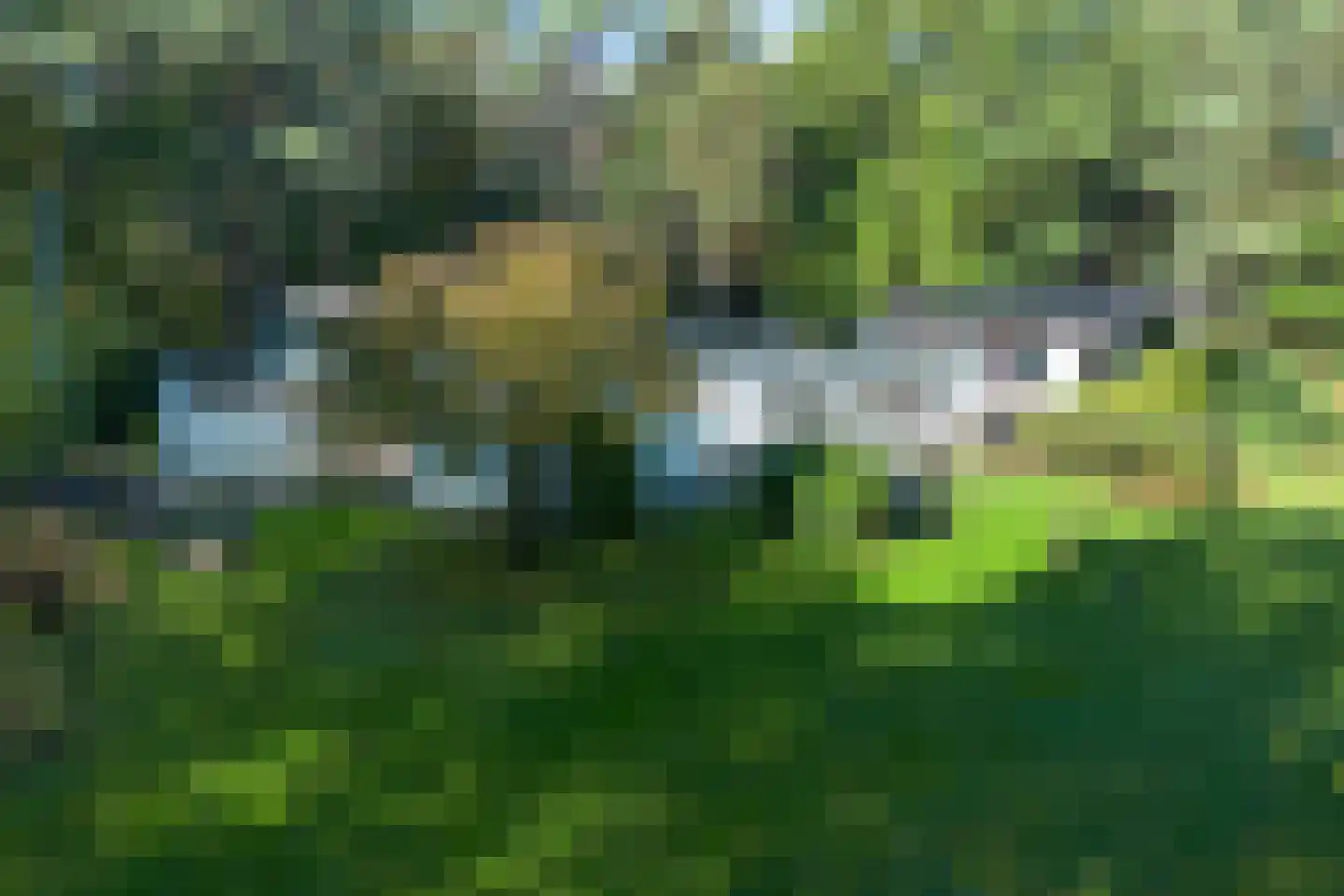 Blikkertweg 3 Holten thumbnail 29