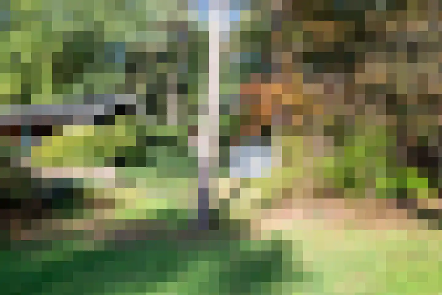 Blikkertweg 3 Holten thumbnail 33