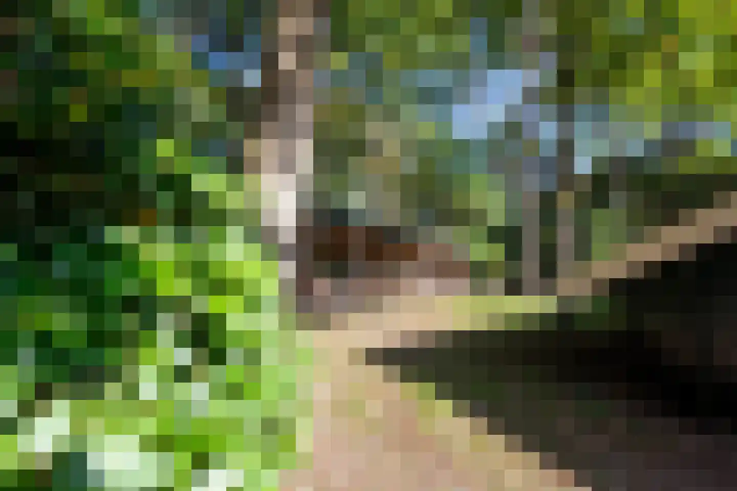 Blikkertweg 3 Holten thumbnail 34